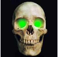 5mm Green LED Creature Eyes 9v Image