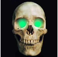 5mm Ocean Green LED Creature Eyes 9v Image