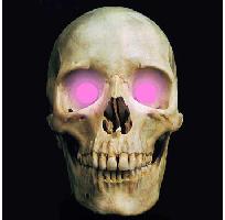 5mm Pink LED Creature Eyes 9v Image