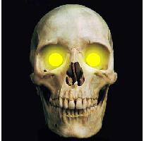5mm Amber Yellow LED Creature Eyes 9v Image