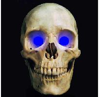 5mm Blue LED Creature Eyes 9v Image