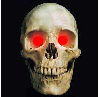 10mm Red LED Creature Eyes 9v Image